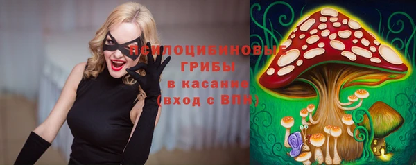 ГАЛЛЮЦИНОГЕННЫЕ ГРИБЫ Баксан