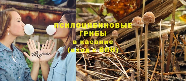 прущие крисы Балабаново