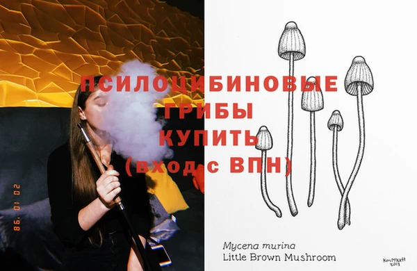 прущие крисы Балабаново