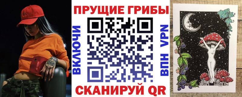 Купить закладки  Геленджик  Галлюциногенные грибы Magic Shrooms 